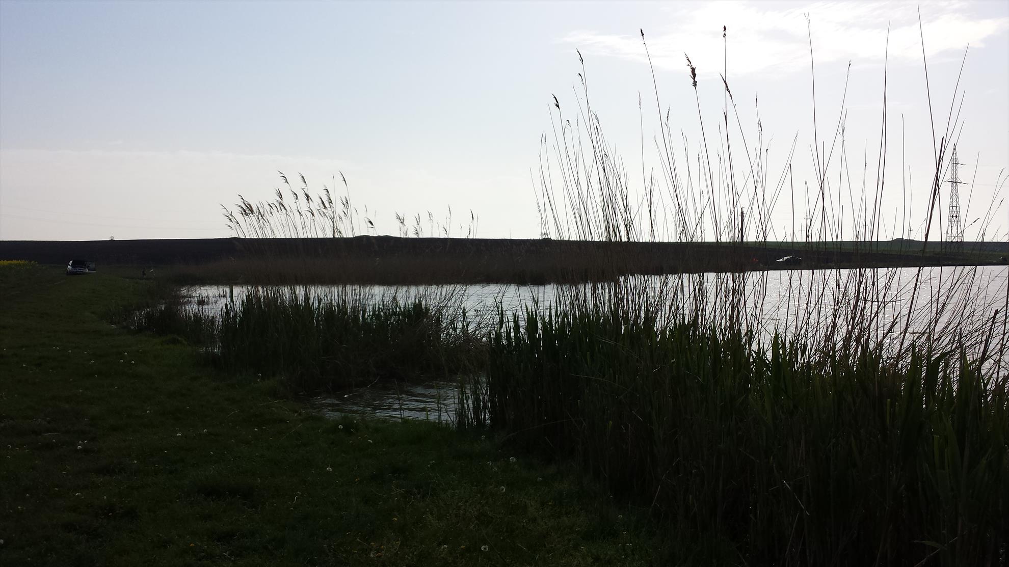 Lupsanu 1 22 aprilie 2014 - 20140422090822.jpg